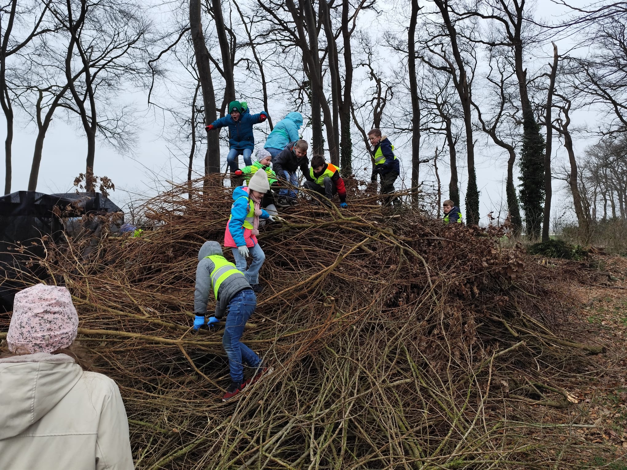 WhatsApp Image 2026-03-13 at 14.10.38