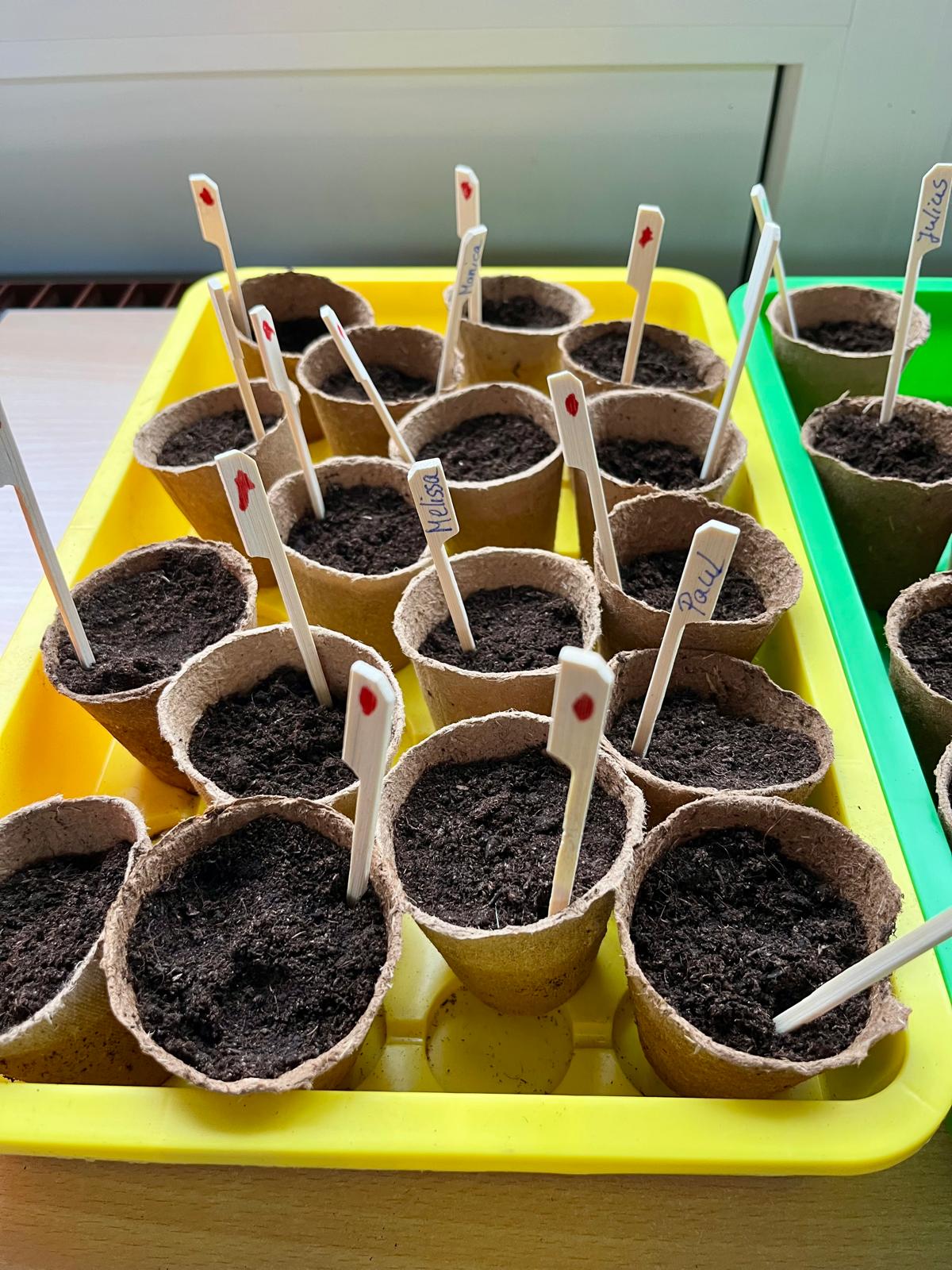 WhatsApp Image 2026-03-13 at 14.35.41