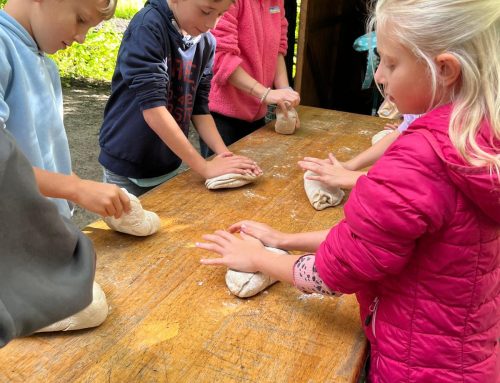 Die dritten Klassen im Museumsdorf Cloppenburg